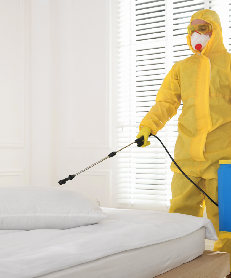 Professional Pest Control Team in Wingfield